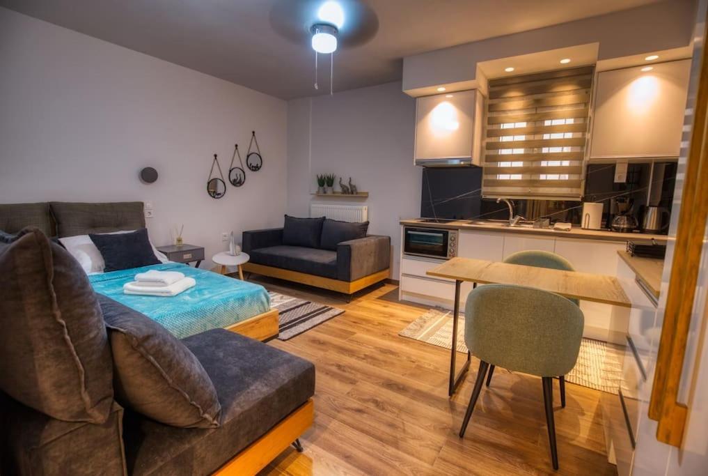 Efi'S Little Treasure! Apartment Trikala  Exterior photo